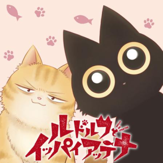 ワンピース